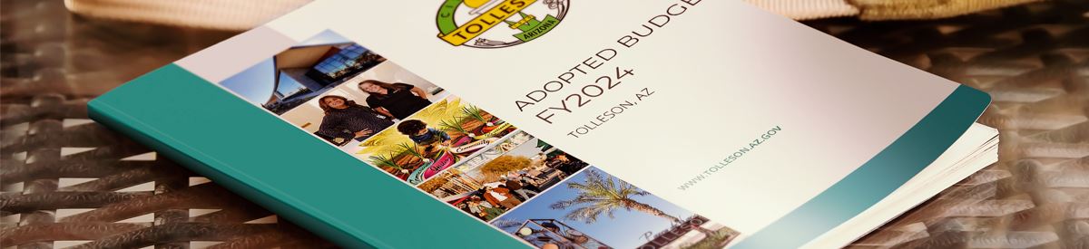 Finance Website Header